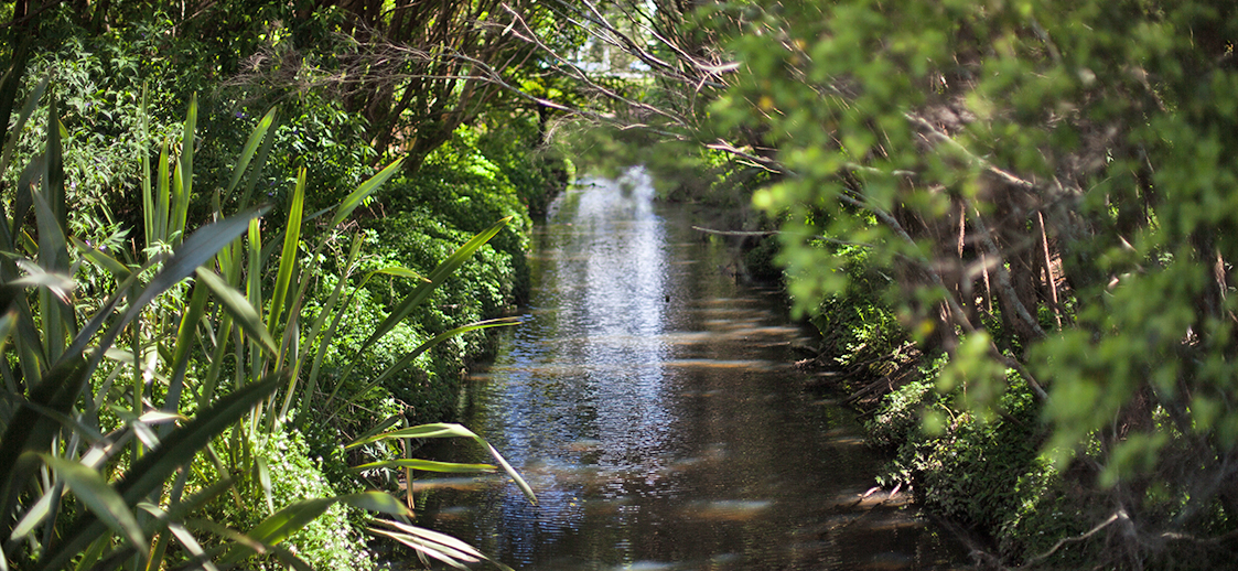 stormwater-management